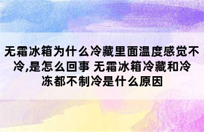 无霜冰箱为什么冷藏里面温度感觉不冷,是怎么回事 无霜冰箱冷藏和冷冻都不制冷是什么原因